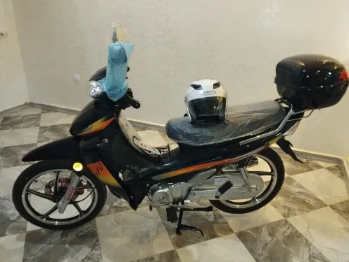 لوجيا sym Sym Ham 2025