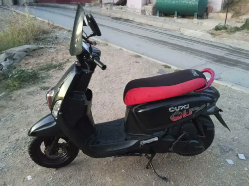 Cuxi 1 box 2022
