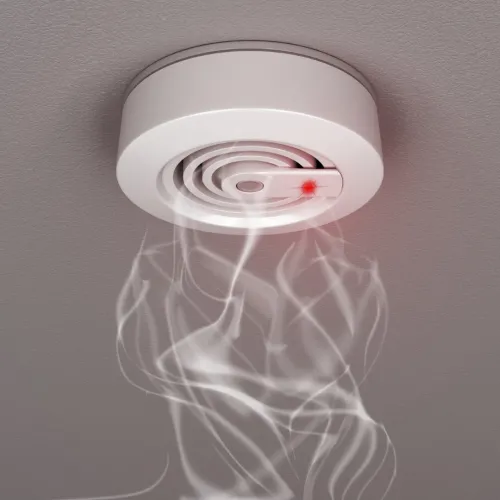 Sécurité Detection Extinction Incendie de Go Security - Prévention et Protection Avancées