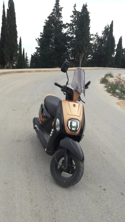 Vms Coxi2 2021