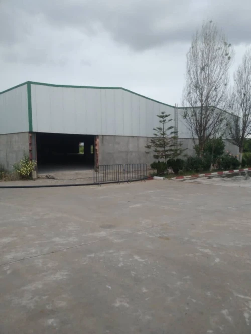 Vente Terrain Alger Birtouta