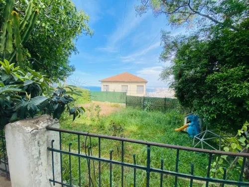 Vente Villa Alger El biar