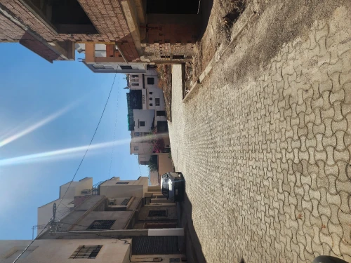 Vente Terrain Tlemcen Mansourah