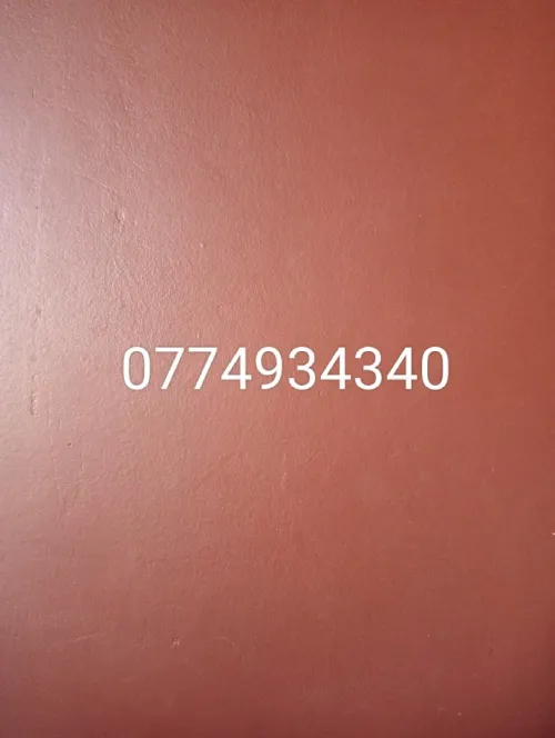 Vente Appartement Ain temouchent Chaabet el ham
