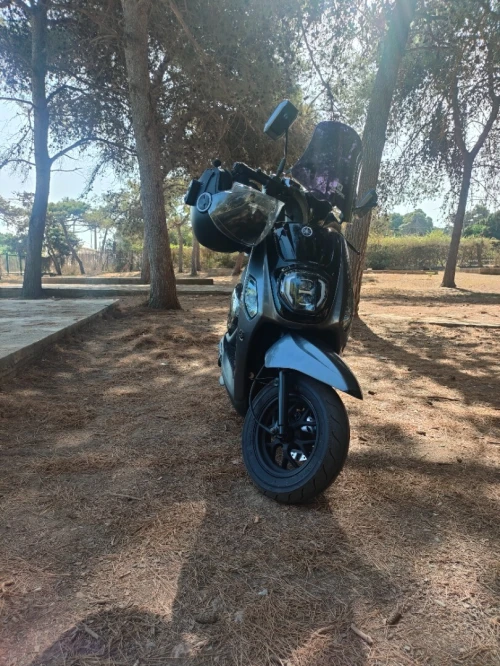 VMS ESTATE X 2025