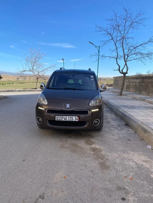 Peugeot Teppe 2015 Allure