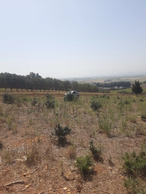 Vente Terrain Tipaza Sidi rached