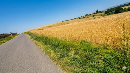 Vente Terrain Agricole Bouira El hachimia