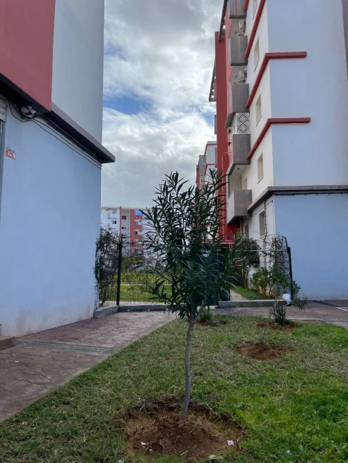 Vente Appartement F3 Boumerdès Corso
