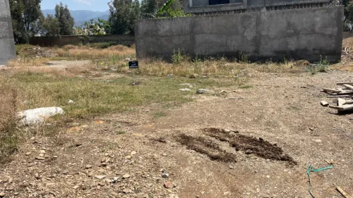 Vente Terrain Blida Blida