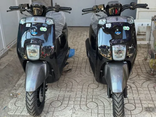 Vms Cuxi 1 2025