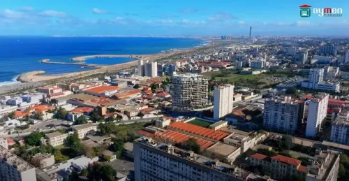 Vente Appartement F3 Alger Belouizdad