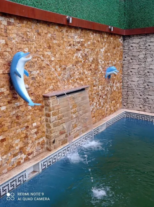 Réalisation et entretien des piscines 