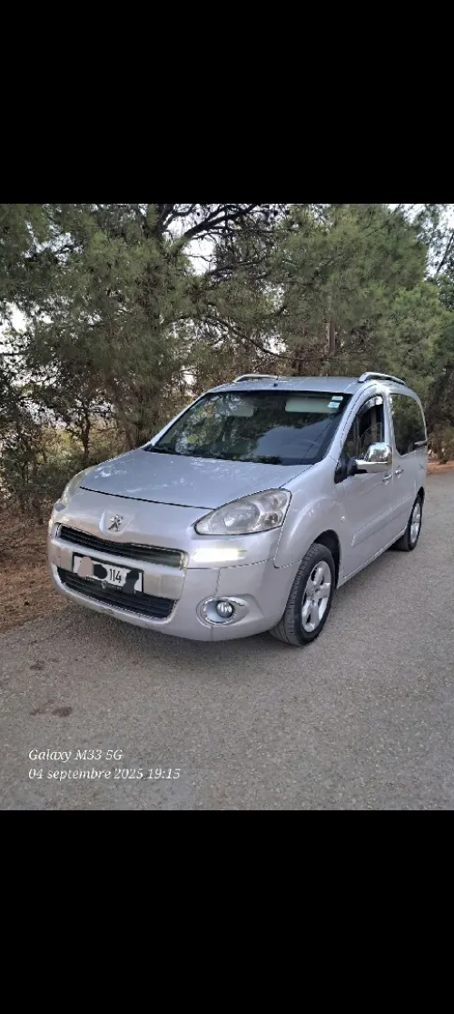 Peugeot Partner 2014 Tepee