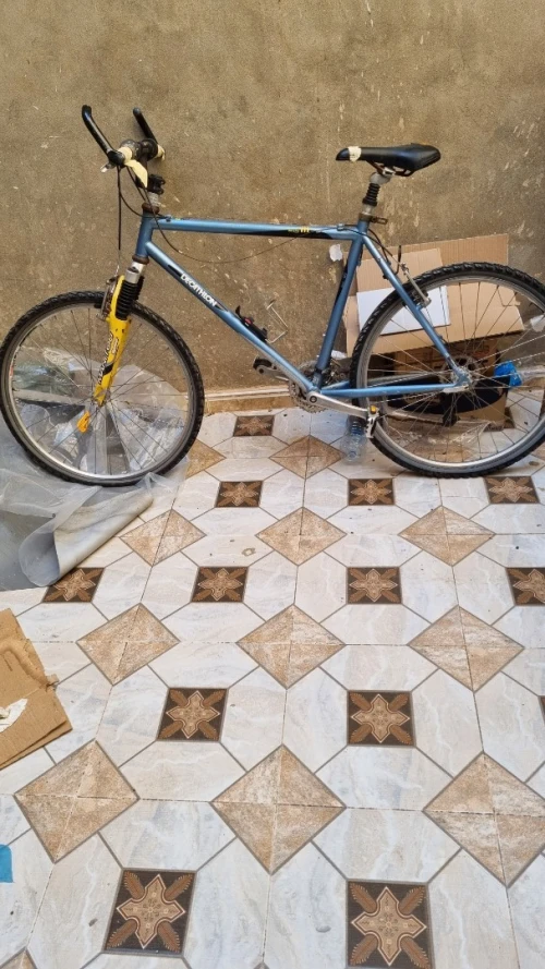 vélos route et vélos appartement 