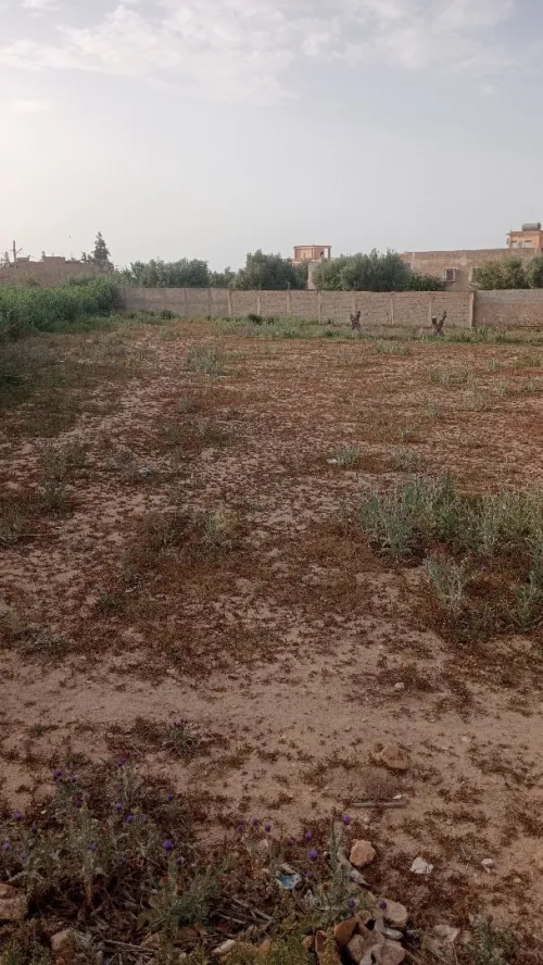 Vente Terrain Tlemcen Hennaya