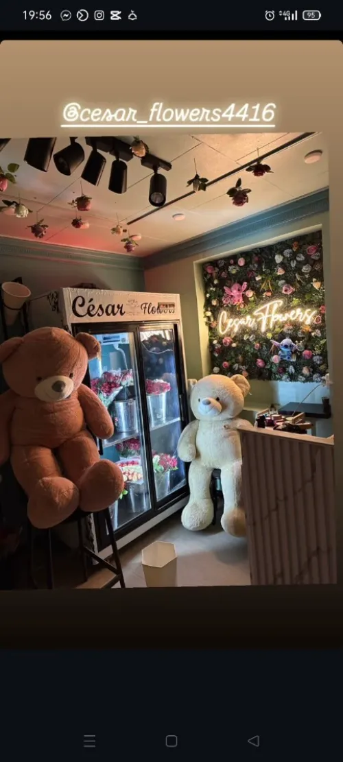 frigo