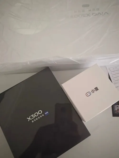 Vivo X300