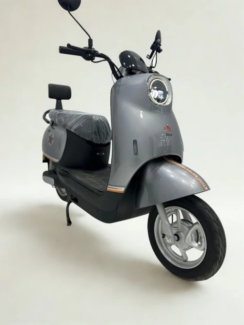 Dora Koala 2026