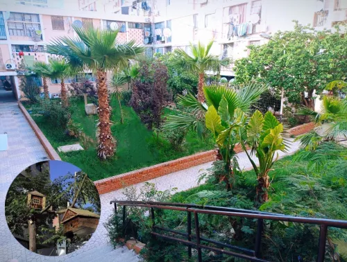 Vente Appartement F4 Blida Blida