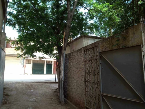 Vente Terrain Blida Boufarik