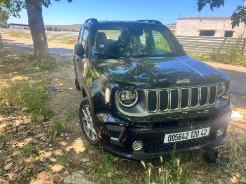 Jeep Renegade 2020 Limited