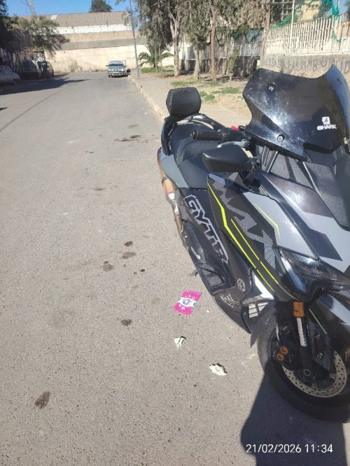 Yamaha Timax 2017