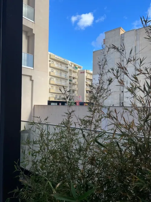 Vente Appartement F2 Alger Cheraga