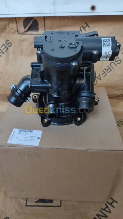 Pompe à eau (corps) +  Flasque Golf 7 GTI, R20- Audi- Seat 06L121111P