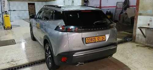 Peugeot 2008 2021 Erg