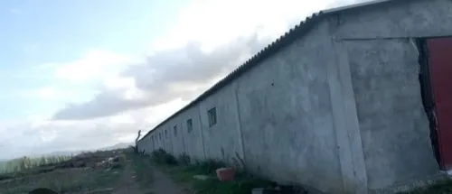 Location bien immobilier Chlef Oued sly