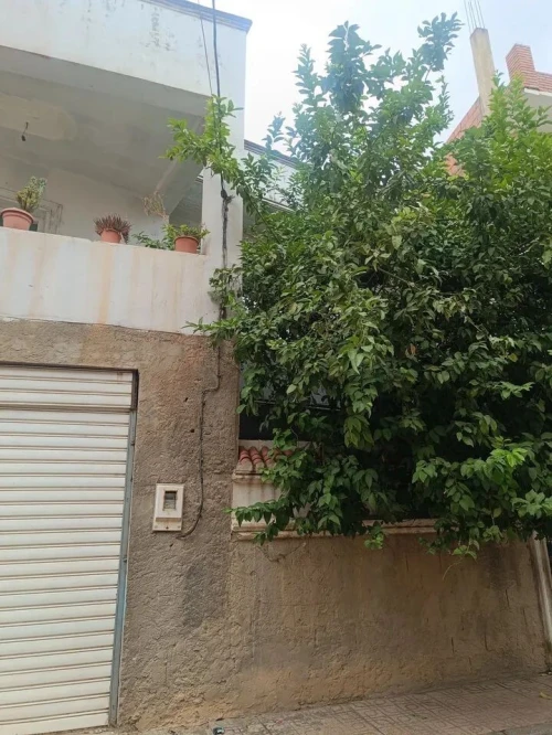Vente Villa Guelma Guelma