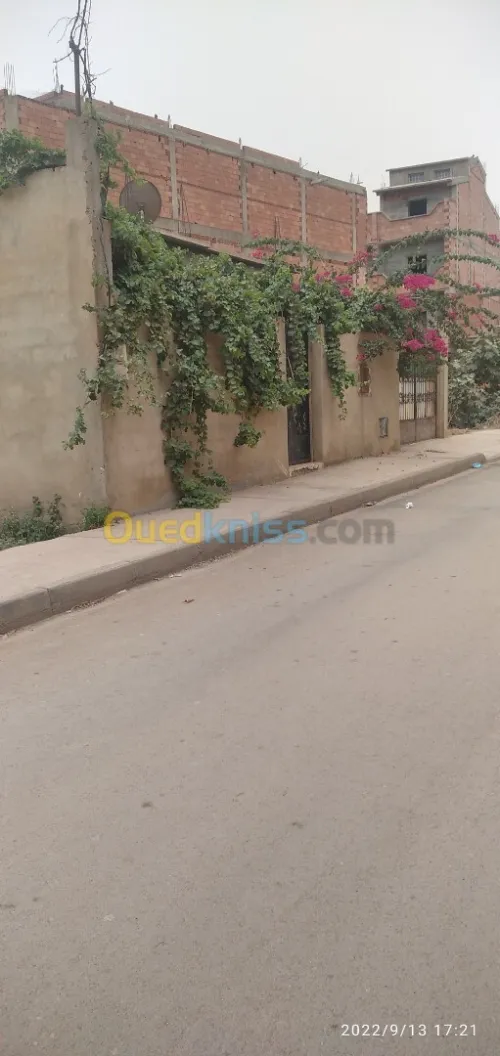 Vente Terrain Oran Ain el bia