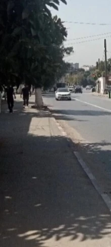 Vente Terrain Alger Bouzareah