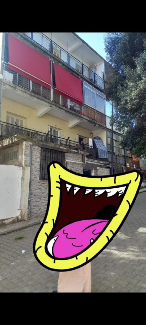 Location Appartement F2 Alger El biar