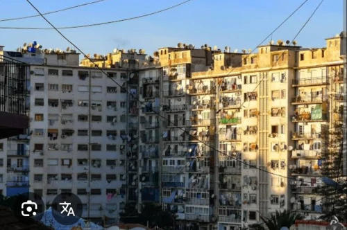 Vente Appartement Studio Alger El biar
