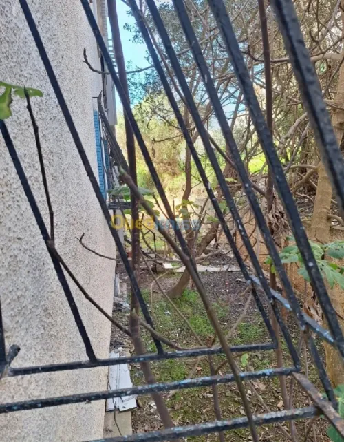 Location Appartement F3 Alger Chevalley