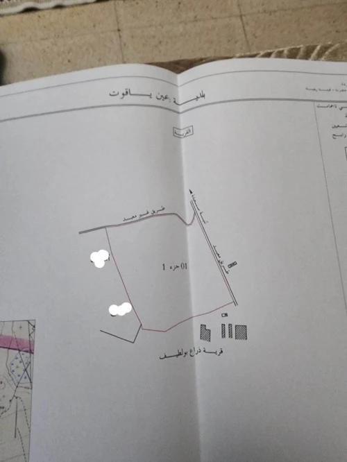 Vente Terrain Batna Ain yagout