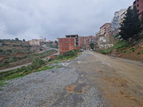 Vente Terrain Alger Beni messous