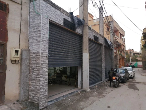 Location Local Tipaza Kolea