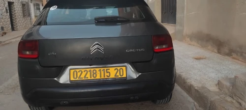 Citroen C4 Cactus 2015 C4 Cactus