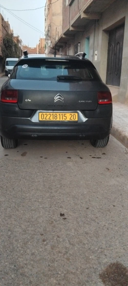 Citroen C4 Cactus 2015 C4 Cactus