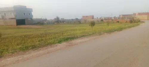 Vente Terrain Mostaganem Khadra