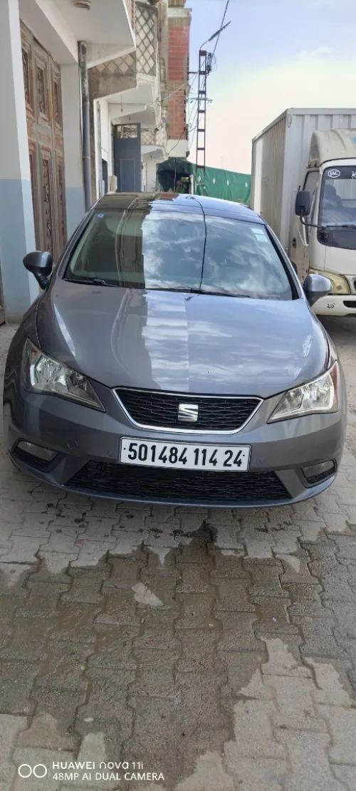 Seat Ibiza 2014 Crono+toit