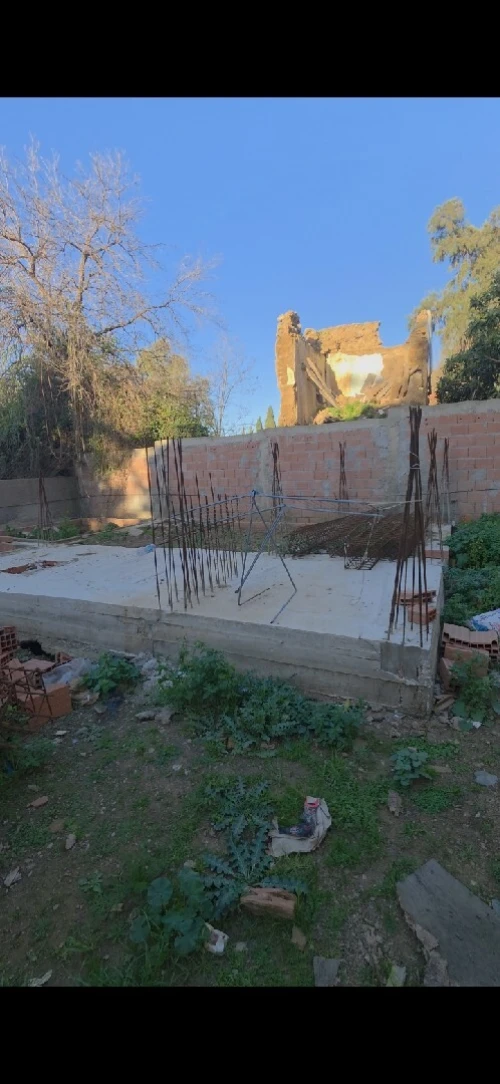Vente Terrain Blida Blida
