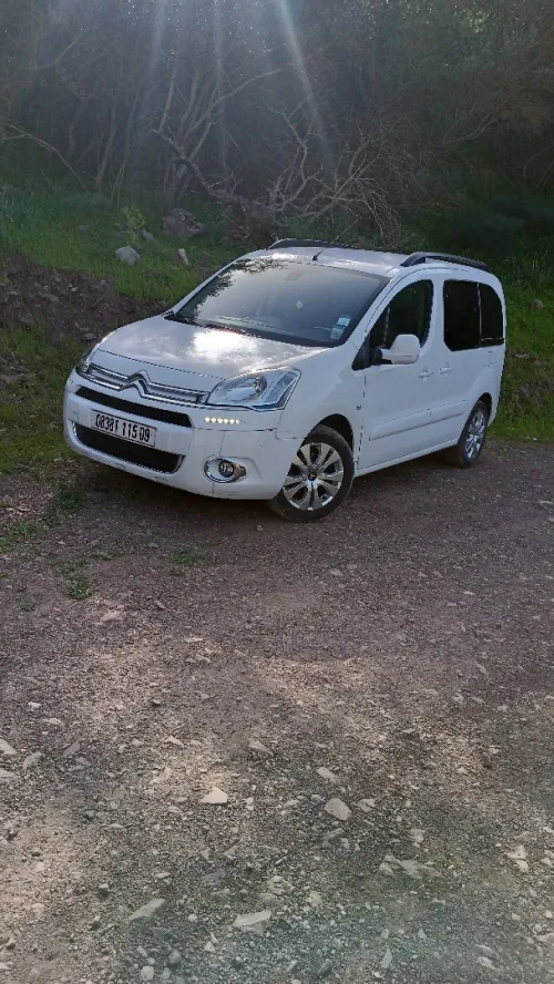 Citroen Berlingo Multispace 2015 Berlingo Multispace