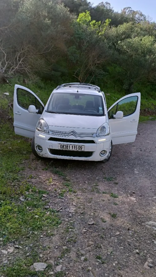 Citroen Berlingo Multispace 2015 Berlingo Multispace