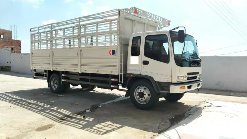 Isuzu CAMION FTR 2014