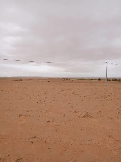 Vente Terrain Agricole M'Sila Zerarka