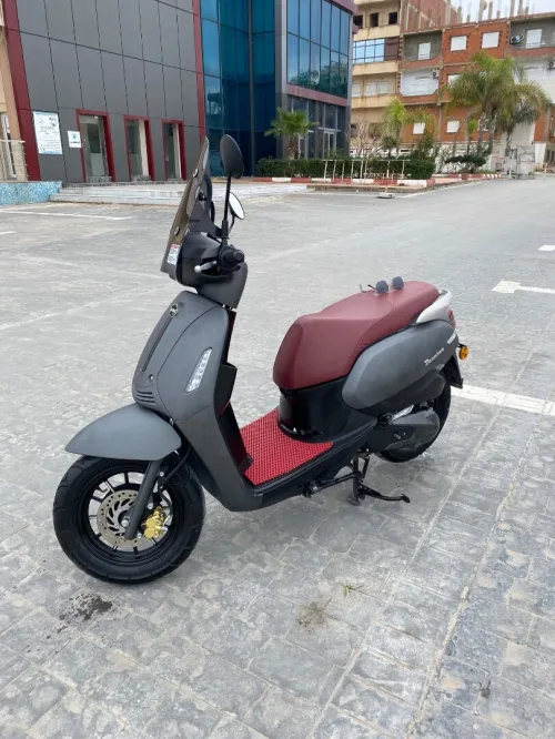 Vms Panaria 2025